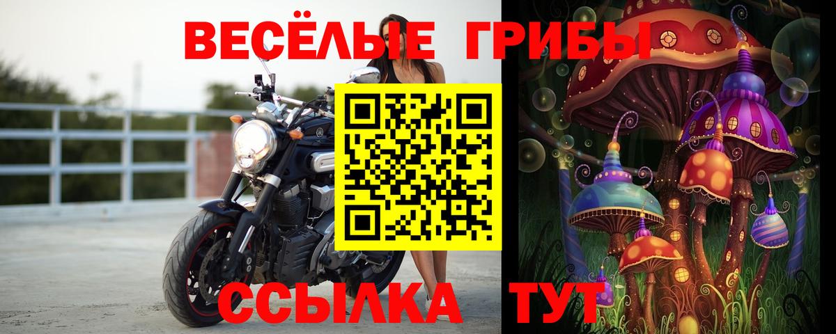 Ишимбай  Псилоцибиновые грибы мицелий  Галлюциногенные грибы Cubensis  Вход с VPN 